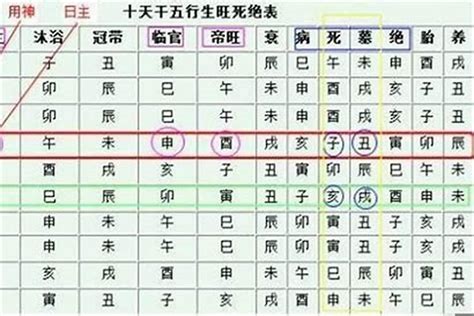 身旺身弱判定|身旺・身弱いの定義と判定方法：命式を読む 